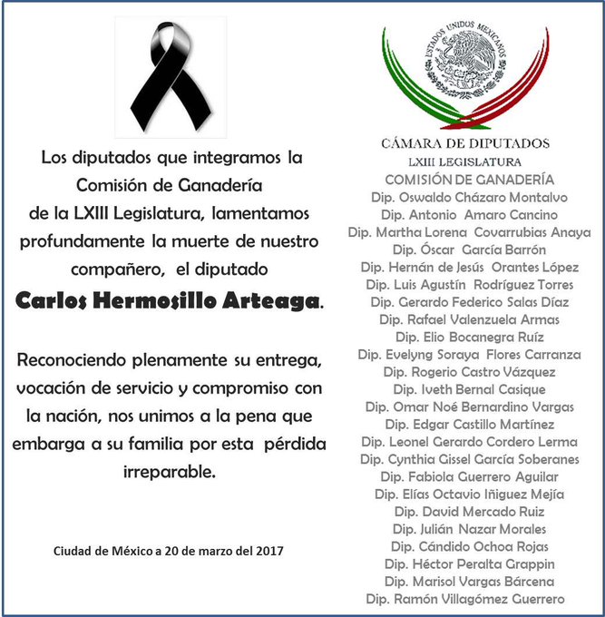 Ver imagen en Twitter