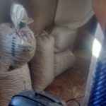 IMG-20170306-WA0004