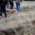 Largo Maderal (1)