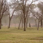 Emiten en Juárez alerta naranja por fuertes vientos