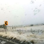 Nieve (1)