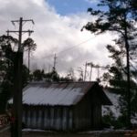 Nieve (2)