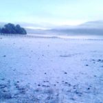 Nieve (3)