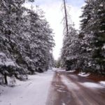 Nieve (4)