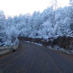 Nieve (5)