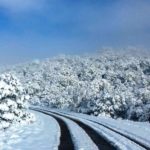 Nieve (6)
