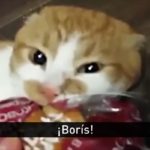 bors