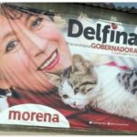 delfina