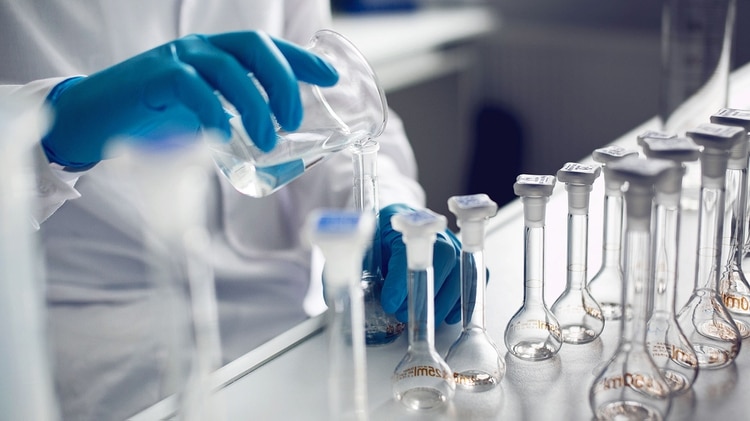 Científicos buscar replicar los componentes no tóxicos del veneno de los escorpiones para crear medicamentos con ellos (Shutterstock)
