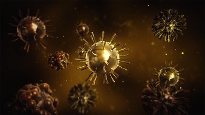 Los primeros tipo de coronavirus surgieron hace más de 50 millones de años Foto: UNAM