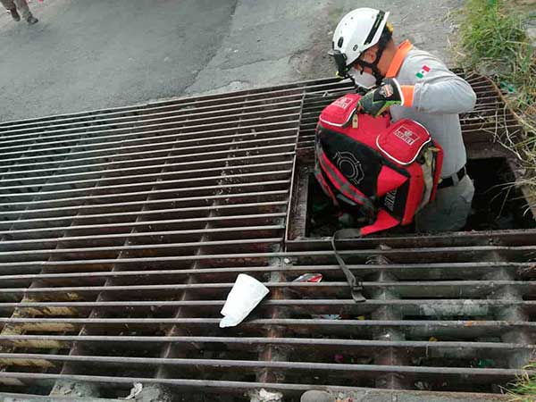 Elementos de PC atendieron al hombre que fue hallado dentro de una alcantarilla en Monterrey, Nuevo León. Foto: Especial/ Periódico ABC
