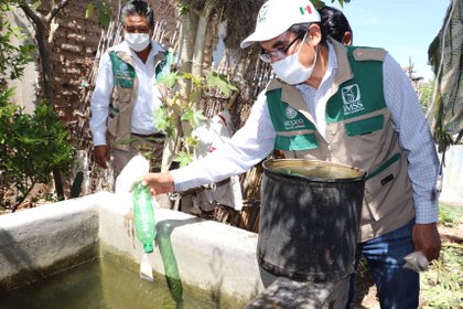 Hasta el momento se han confirmado 17,254 casos de dengue y 50 fallecimiento (Foto: @Tu_IMSS)