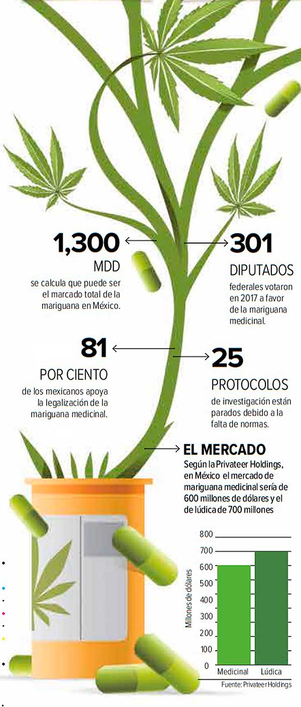 En el país, al menos 80% de los mexicanos están de acuerdo con la legalización de la mariguana. Gráfico: Excélsior