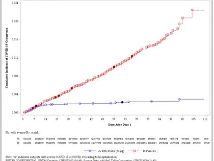 La curva de casos positivos en el estudio de Pfizer: entre los 7 y 14 días, los participantes que recibieron la fórmula (en azul) dejaron de aumentar, mientras que los del placebo (en rojo) continuaron en crecimiento lineal