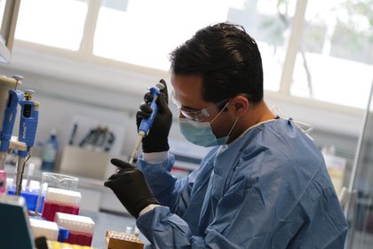 Los expertos esperan tener respuestas en las próximas semanas (Foto: Fernanda Velázquez/Universidad de Guadalajara)