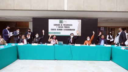 La comisión aprobó su opinión positiva de la reforma de AMLO con 31 votos a favor, 11 en contra y dos abstenciones (Foto: Cortesía Cámara de DIputados)
