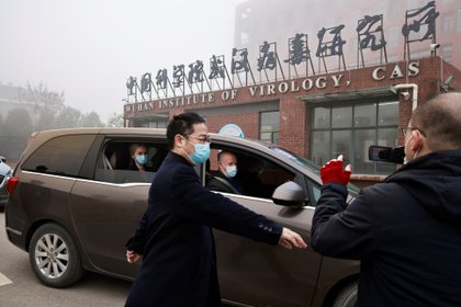 Peter Daszak y Thea Fischer, miembros del equipo de la Organización Mundial de la Salud (OMS) encargado de investigar los orígenes de la enfermedad del coronavirus (COVID-19), visitaron el Instituto de Virología de Wuhan, en Wuhan, provincia de Hubei, China, el 3 de febrero de 2021. REUTERS/Thomas Peter