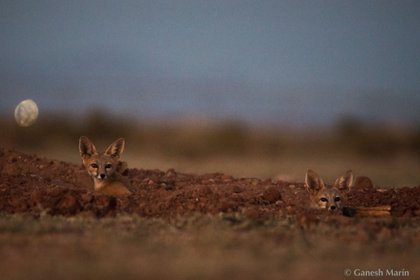 (Foto: Ganesh Marín, vía Dirección General de Comunicación Social de la UNAM)