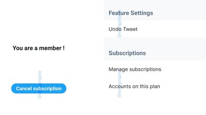 La opción para deshacer tuits estaría disponible sólo para suscriptores pagos (@wongmjane)