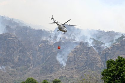 17 incendios han sido en 12 áreas protegidas (Foto: EFE/Tony Rivera)
