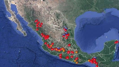 Chiapas es el estado con más de estos siniestros con 15, mientras que Durango y Michoacán tienen 13 cada uno (Foto: Twitter@CONAFOR)