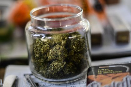 El dictamen despenaliza hasta 28 gramos de cannabis psicoactiva y especifica los castigos para posesión hasta los 200 gramos (Foto: Pedro Pardo/ AFP)