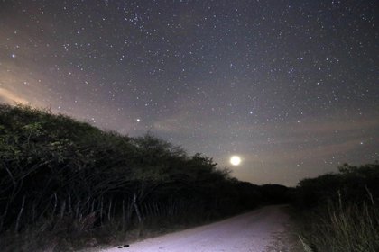 Se recomiendan lugares oscuros, alejados de la contaminación lumínica de las ciudades (Foto: Margarito Pérez Retana/Cuartoscuro/Archivo)