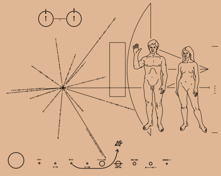 Pioneer Plaque Svg