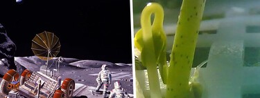 Para colonizar la Luna primero hay que reinventar la comida. La NASA quiere obtenerla del aire y China de Lanzarote