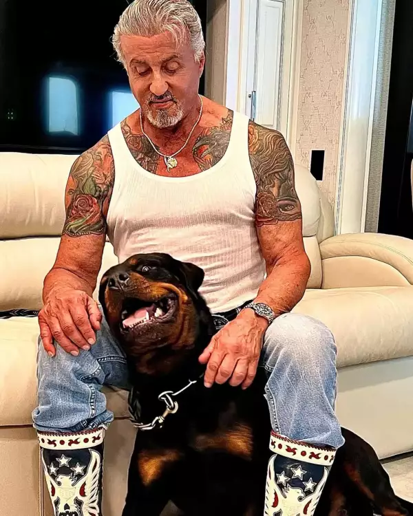 Sylvester Stallone nueva mascota