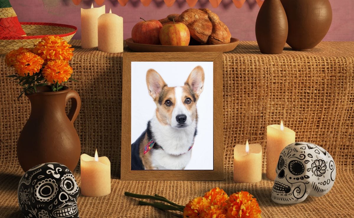 Ofrenda para mascota en Día de Muertos