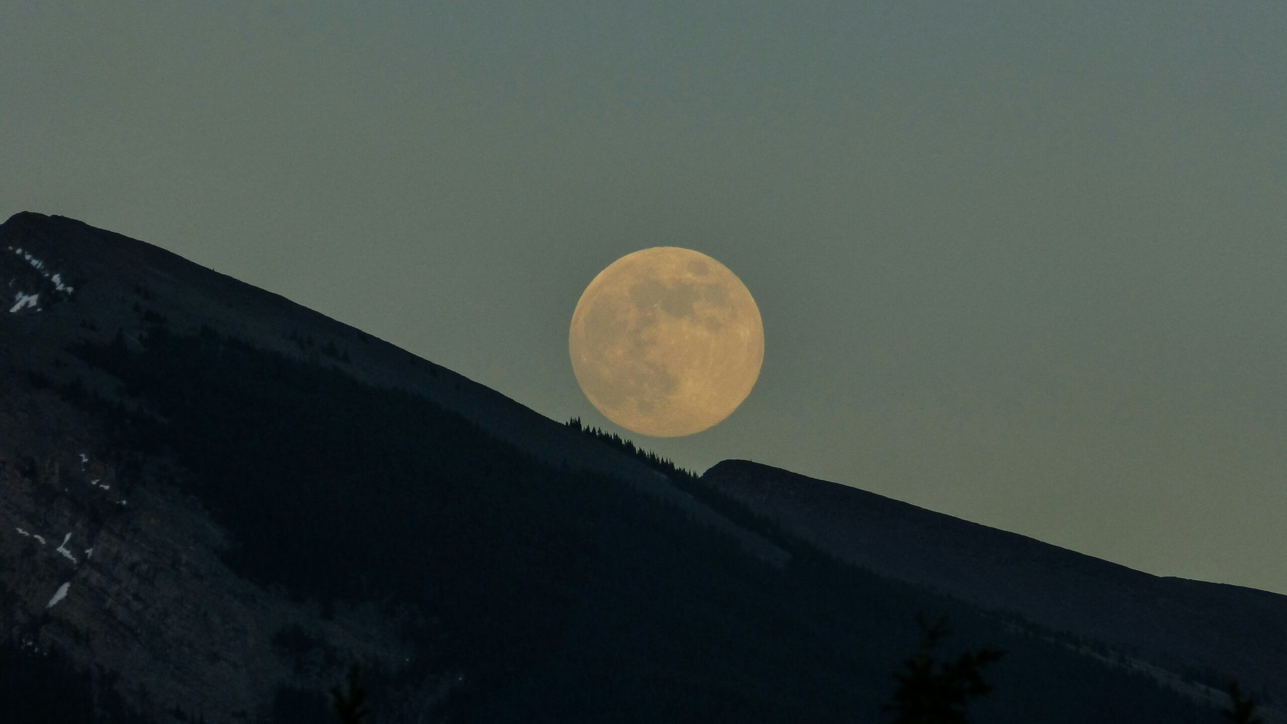 Este 19 de agosto será la Luna llena de agosto 2024