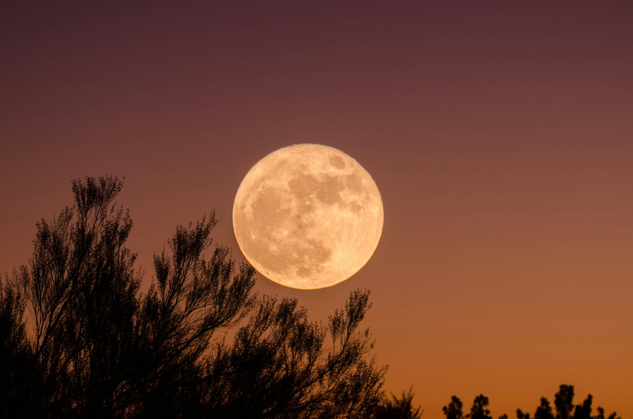 Luna de Ciervo