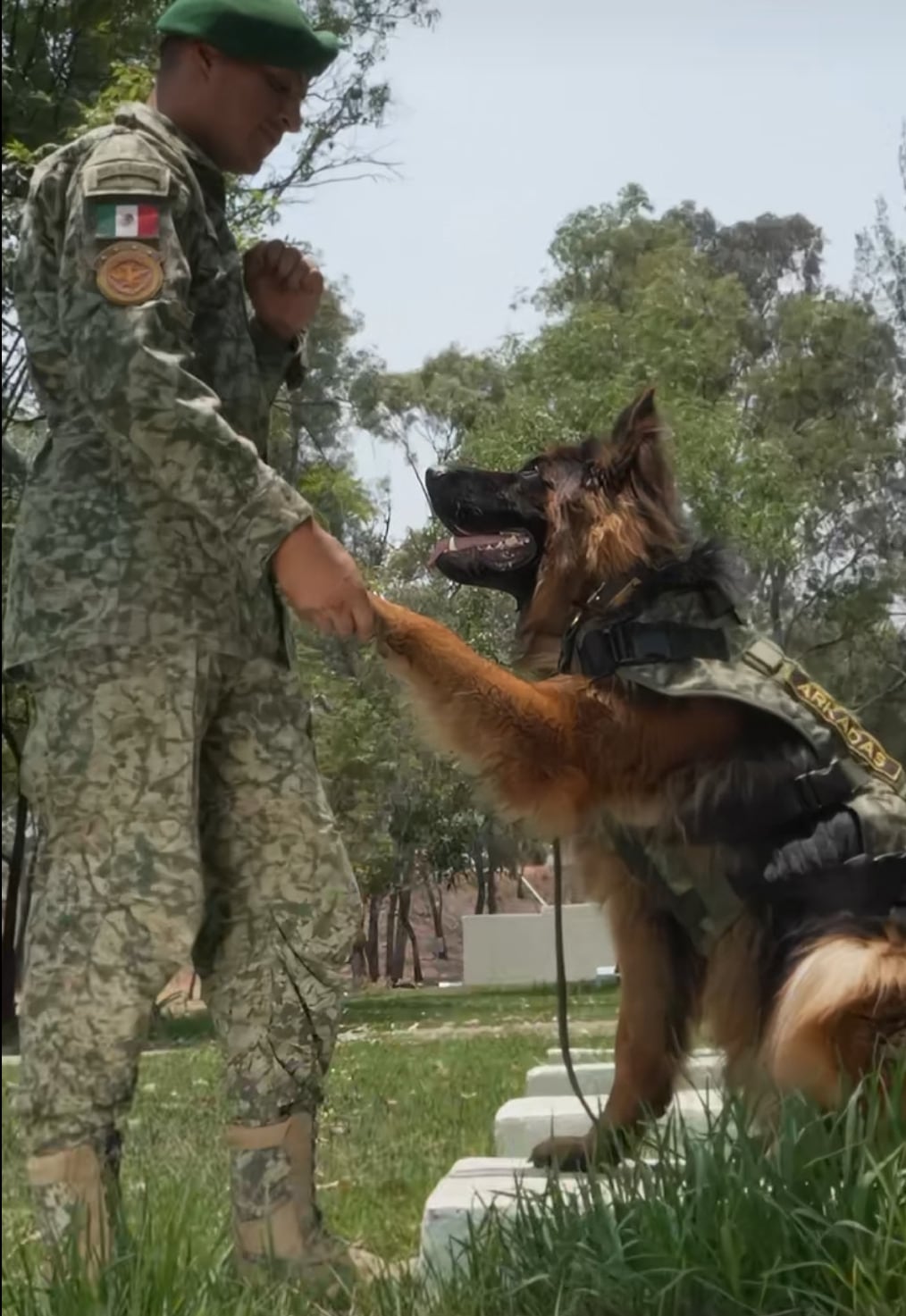 Arkadas, el perro rescatista
