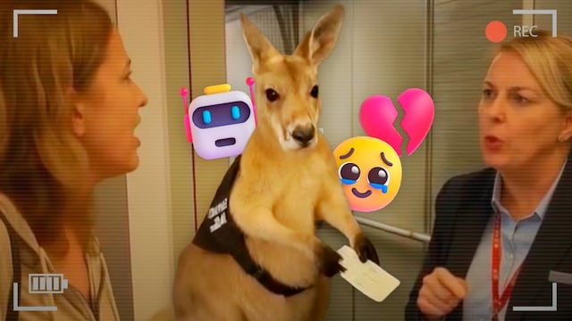 Video del canguro fue hecho con IA