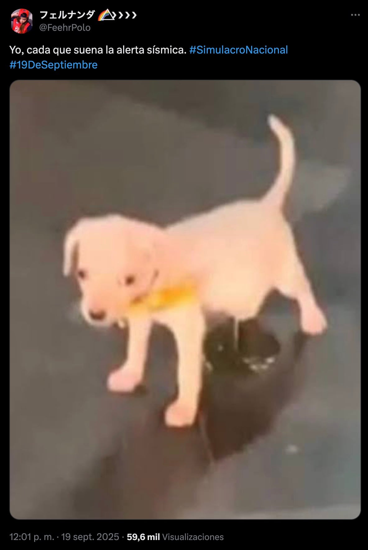 Meme del Simulacro Nacional 2025