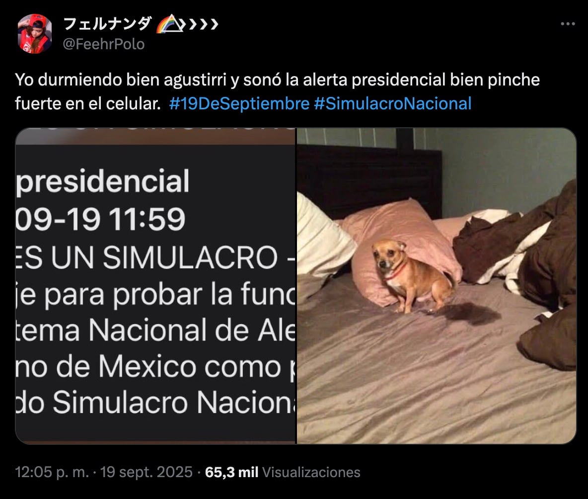 Meme del Simulacro Nacional 2025