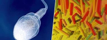 Alguien ha declarado la guerra a los microplásticos: su plan es “lavar” el semen y rejuvenecer desde los testículos