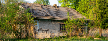 Una familia quiso vivir solo con paneles solares, agua de pozo y un huerto. Hasta que Italia le quitó a sus hijos