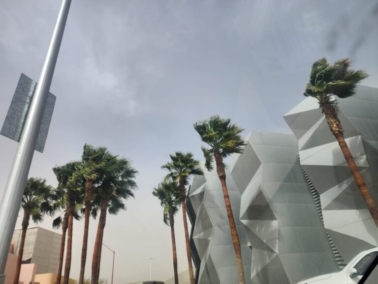 Vientos de 75 km/hr azotan a Juárez, Protección Civil mantiene alerta amarilla