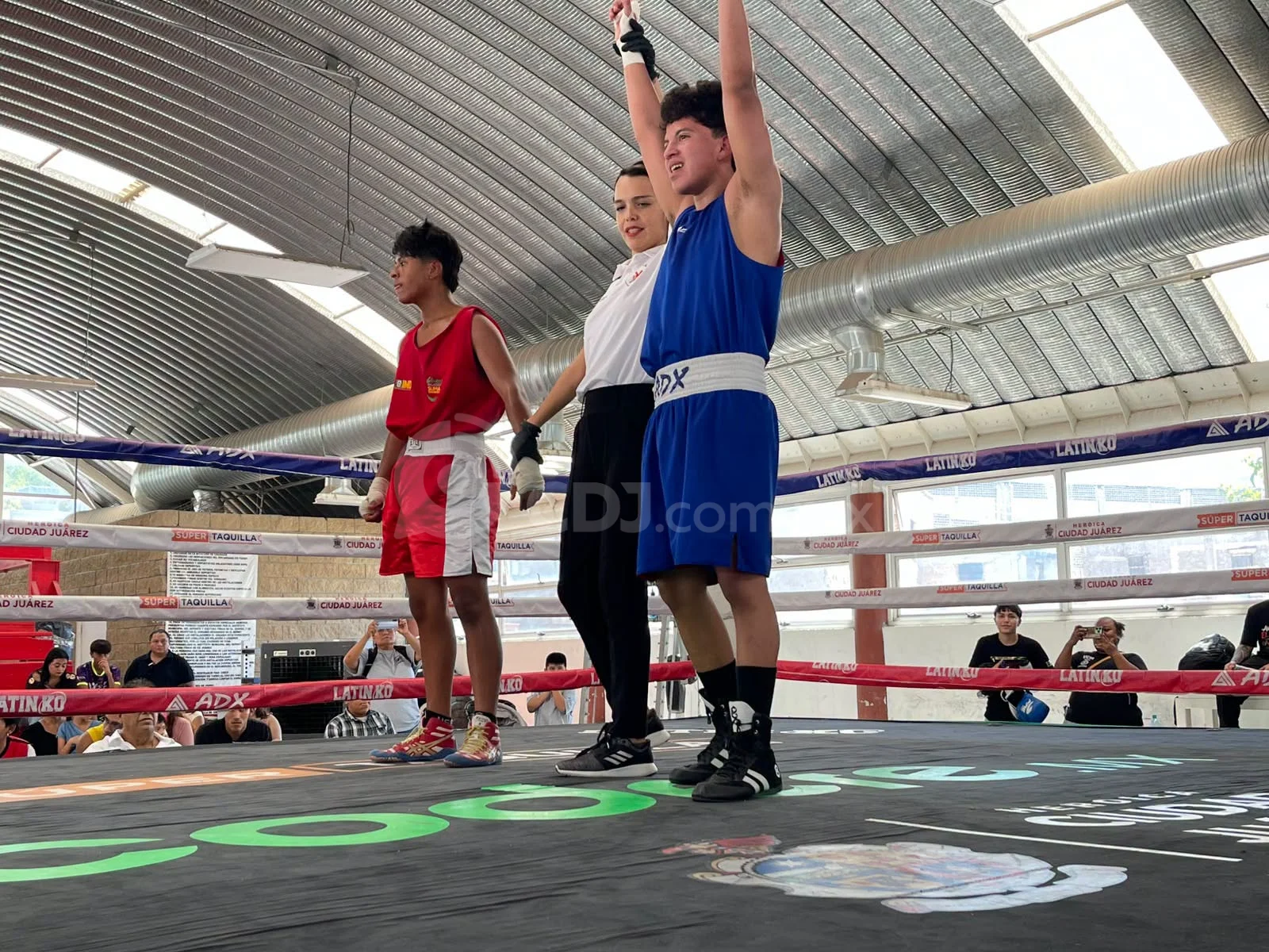Jóvenes pugilistas muestran sus habilidades en el Sport Fest 2026