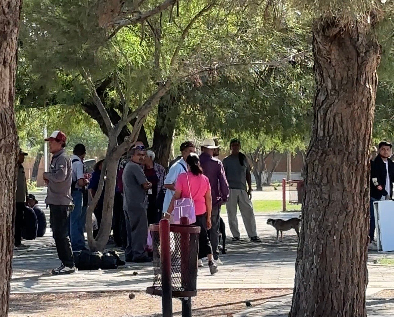 Todos los días esperan por una oportunidad: señores buscan trabajo en el Monumento a Benito Juárez