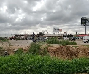 Denuncian presunto ecocidio por tala de árboles en inmediaciones de Toro Qüintaco