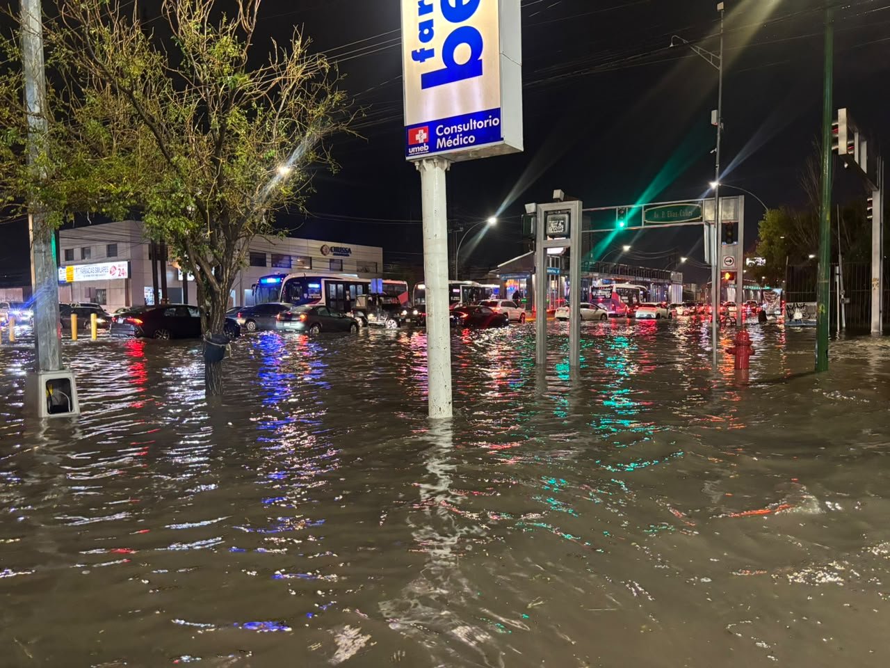 Entre la Tormenta y el miedo