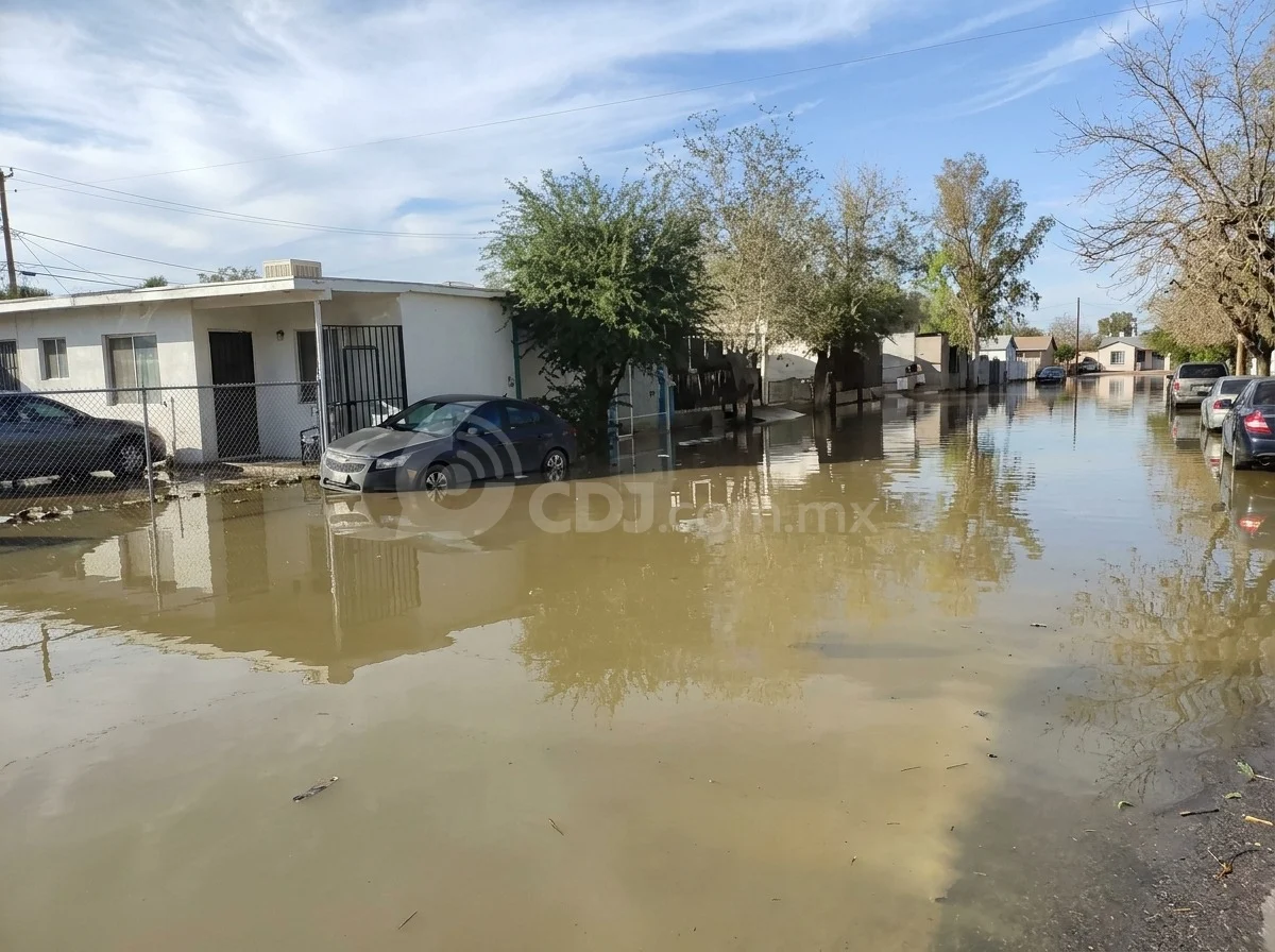 Piden ayuda urgente por desbordamiento de dique en Terranova; reportan viviendas afectadas